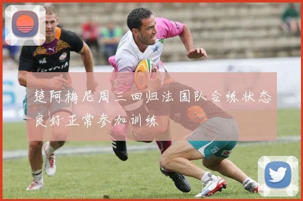 楚阿梅尼周三回归法国队合练状态良好正常参加训练